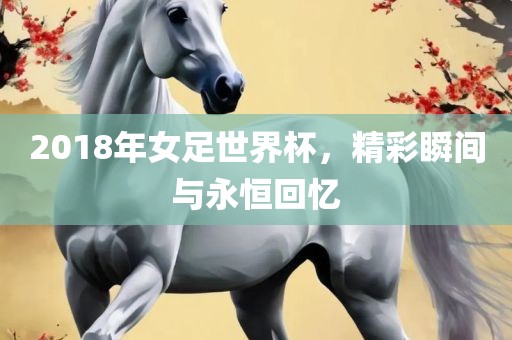 2018年女足世界杯，精彩瞬间与永恒回忆吉安市靖泰电力工程有限公司