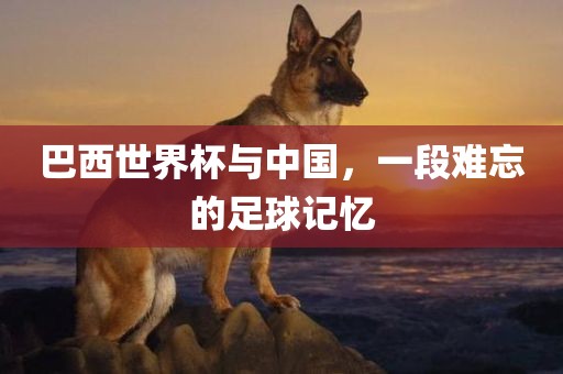 中巴足球记忆