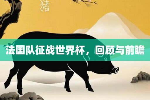 法国队征战世界杯，回顾与前瞻
