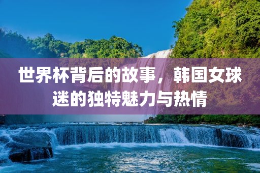 世界杯背后的故事，韩国女球迷的独特魅力与热情