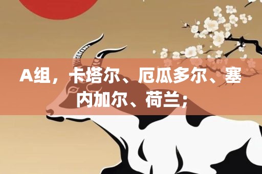 A组，卡塔尔、厄瓜多尔、塞内加尔、荷兰；
