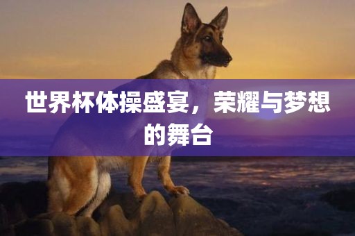 世界杯体操盛宴，荣耀与梦想的舞台