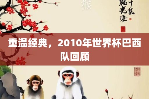 重温经典，2010年世界杯巴西队回顾