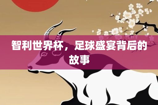 智利世界杯，足球盛宴背后的故事