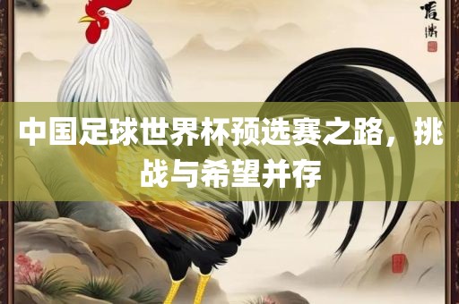 中国足球世界杯预选赛之路，挑战与希望并存