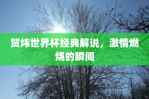 贺炜世界杯经典解说，激情燃烧的瞬间