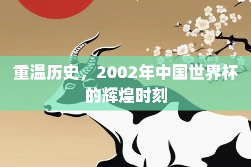 重温历史，2002年中国世界杯的辉煌时刻
