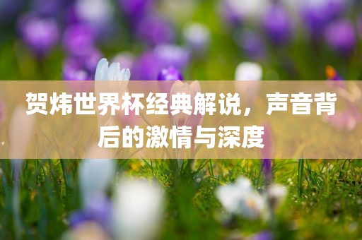 贺炜世界杯经典解说，声音背后的激情与深度