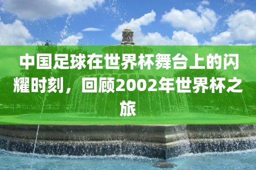 中国足球在世界杯舞台上的闪耀时刻，回顾2002年世界杯之旅