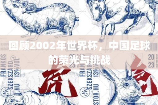 回顾2002年世界杯，中国足球的荣光与挑战