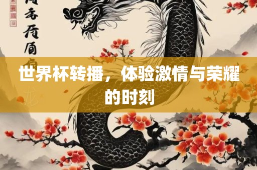 世界杯转播，体验激情与荣耀的时刻