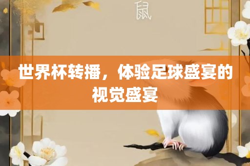 世界杯转播，体验足球盛宴的视觉盛宴