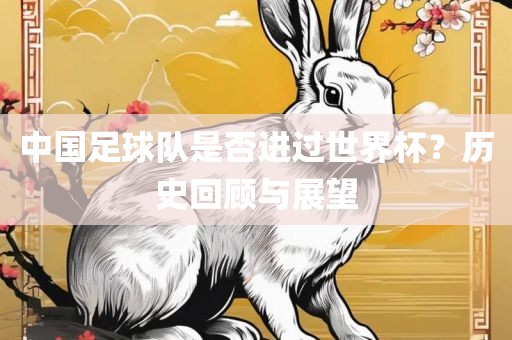 中国足球队是否进过世界杯？历史回顾与展望吉安市靖泰电力工程有限公司
