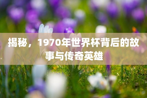 揭秘，1970年世界杯背后的故事与传奇英雄