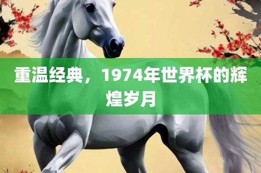 重温经典，1974年世界杯的辉煌岁月吉安市靖泰电力工程有限公司