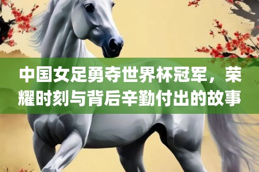 中国女足勇夺世界杯冠军，荣耀时刻与背后辛勤付出的故事