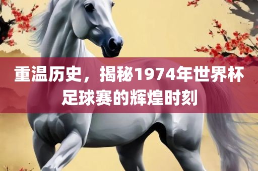 重温历吉安市靖泰电力工程有限公司史，揭秘1974年世界杯足球赛的辉煌时刻