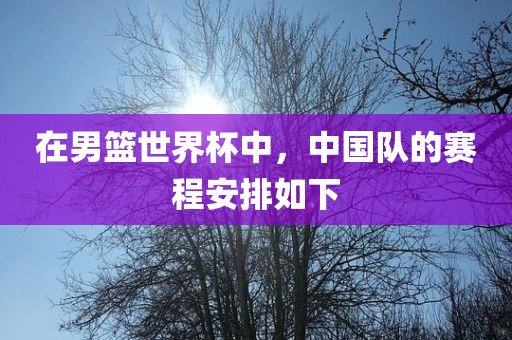 在男篮世界杯中，中国队的赛程安排如下吉安市靖泰电力工程有限公司