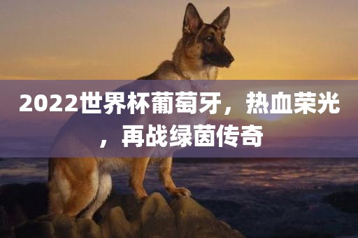 2022世界杯葡萄牙，热血荣光，再战绿茵传奇吉安市靖泰电力工程有限公司