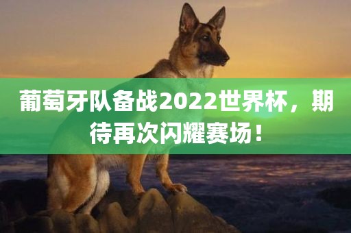 葡萄牙队备战2022世界杯，期待再次闪耀赛场！