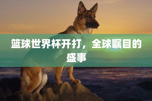 篮球世界杯开打，全球瞩目的盛事