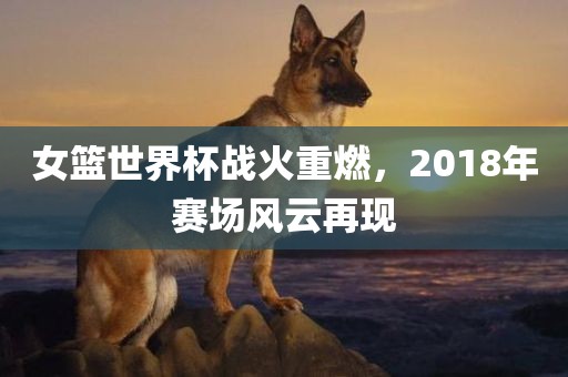 女篮世界杯战火重燃，2018年赛场风云再现
