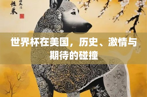世界杯在美国，历史、激情与期待的碰撞