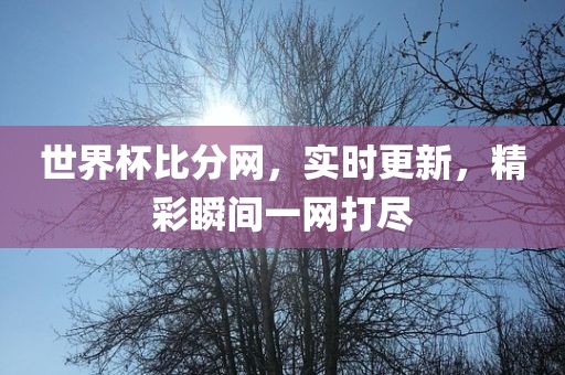 世界杯比分网，实时更新，精彩瞬间一网打尽