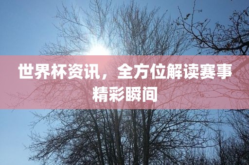 世界杯资讯，全方位解读赛事精彩瞬间吉安市靖泰电力工程有限公司
