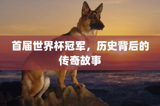 首届世界杯冠军，历史背后的传奇故事吉安市靖泰电力工程有限公司
