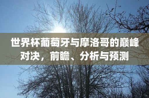 世界杯葡萄牙与摩洛哥的巅峰对决，前瞻、分析与预测吉安市靖泰电力工程有限公司