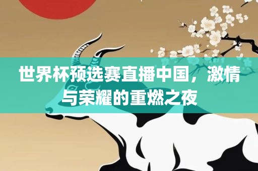 世界杯预选赛直播中国，激情与荣耀的重燃之夜