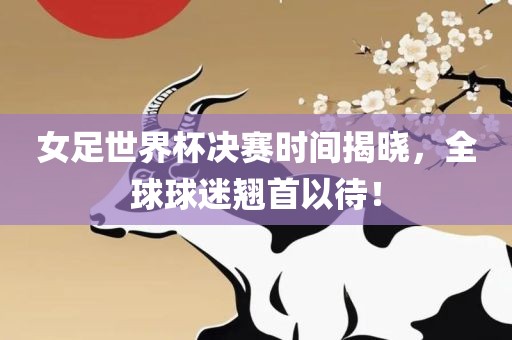 女足世界杯决赛吉安市靖泰电力工程有限公司时间揭晓，全球球迷翘首以待！