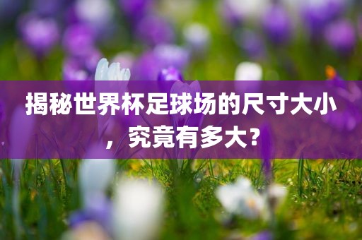 揭秘世界杯足球场的尺寸大小，究竟有多大？