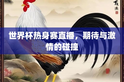 世界杯热身赛直播，期待与激情的碰撞
