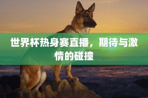 世界杯热身赛直播，期待与激情的碰撞