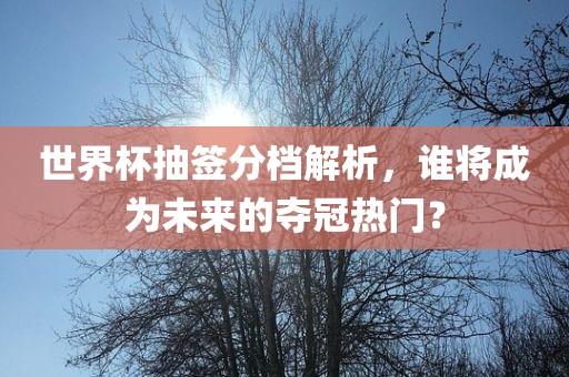 世界杯抽签分档解析，谁将成为未来的夺冠热门？
