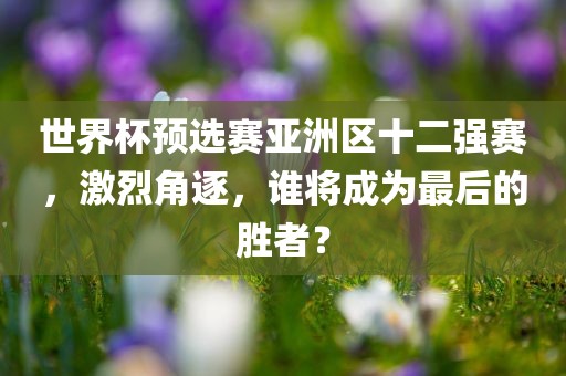 世界杯预选赛亚洲区十二强赛，激烈角逐，谁将成为最后的胜者？