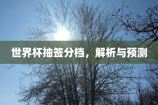 世界杯抽签分档，解析与预测