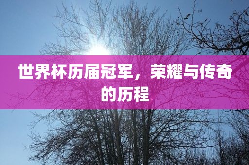 世界杯历届冠军，荣耀与传奇的历程吉安市靖泰电力工程有限公司