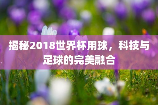 揭秘2018世界杯用球，科技与足球的完美融合吉安市靖泰电力工程有限公司