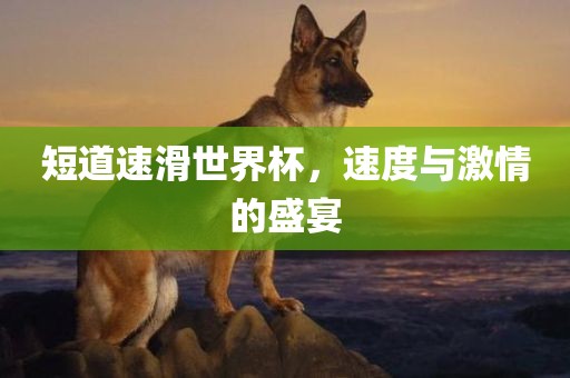 短道速滑世界杯，速度与激情的盛吉安市靖泰电力工程有限公司宴