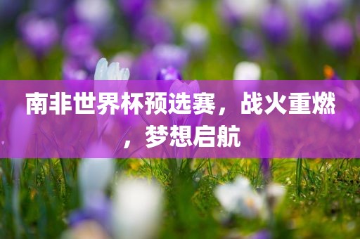 南非世界杯预选赛，战火重燃，梦想启航