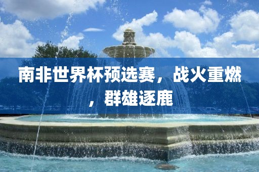 南非世界杯预选赛，战火重燃，群雄逐鹿