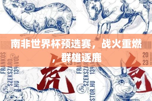 南非世界杯预选赛，战火重燃，群雄逐鹿