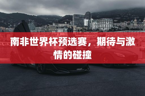 南非世界杯预选赛，期待与激情的碰撞