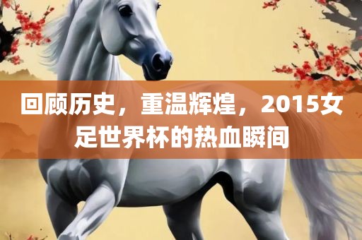 回顾历史，重温辉煌，2015女足世界杯的热血瞬间吉安市靖泰电力工程有限公司