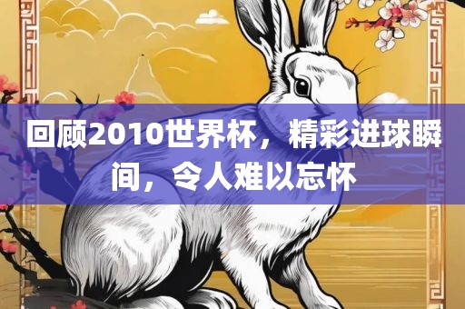 吉安市靖泰电力工程有限公司回顾2010世界杯，精彩进球瞬间，令人难以忘怀