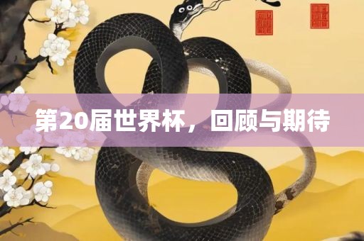 第20届世界杯，回顾与期待