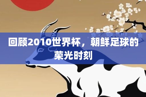 回顾2010世界杯，朝鲜足球的荣光时刻